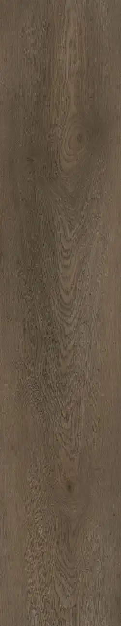Parchet SPC Premium DARWIN 5.0/0.5x1220x228mm